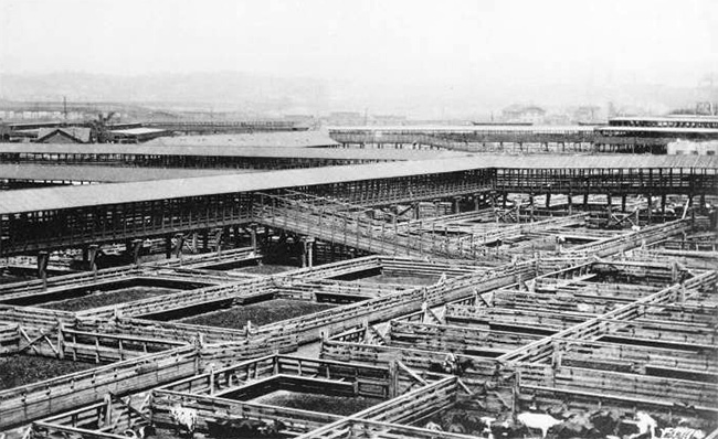The Kansas City Stockyards, circa 1900