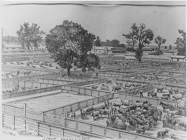 Drawing of Livestock Pens, 1880