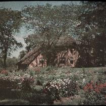 Garden of Dr. Solon E. Haynes