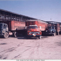 Stockyards, Cattle Trucks