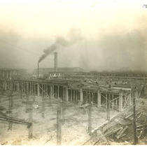 American Royal Construction