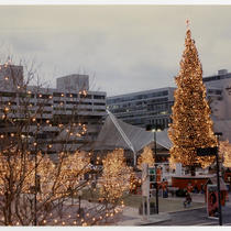 Crown Center - Mayor's Christmas Tree