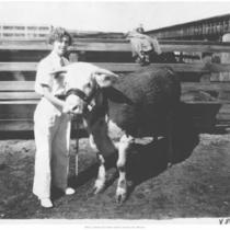 Woman with Hereford