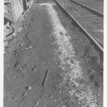 Grain Scattered near Railroad Tracks