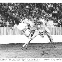 Rodeo Clown Thrown From Horse