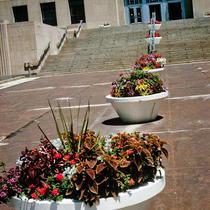 Flower Pots - City Hall