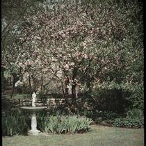 Bechtel's Crab Tree, Fountain, and Iris Flowers of Grant I. Rosenzweig