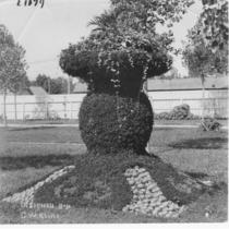 C.W. Kline Topiary