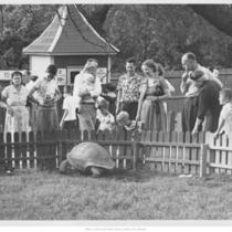 People and Giant Tortoise