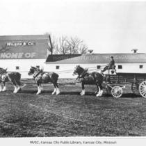 Wilson and Company Clydesdales