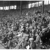 Spectators in Stadium