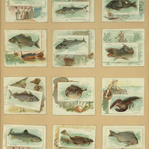 Advertising Card Scrapbook Page 19 with Fish