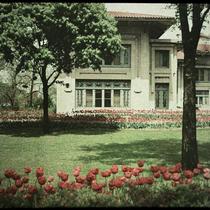 House and Tulips of Robert Sutherland