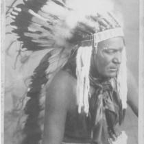 Wild Horse, Comanche Chief