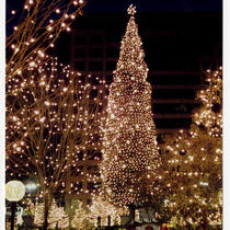 Crown Center - Mayor's Christmas Tree