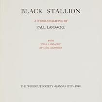Black Stallion