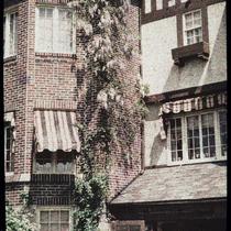 Wisteria Vine on James E. Chandler's House